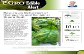Volume 3 Number 3 February 2018 Magnesium Deficiency of …e-gro.org/pdf/E303.pdf · 2019. 1. 4. · Ca:Mg and 4:1 K:Mg, greater amounts of Ca or K can reduce Mg uptake. A couple