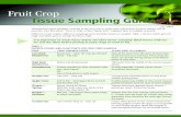 Fruit Crop Tissue Sampling Guide - Nova Scotianovascotia.ca/agri/documents/lab-services/... · Taking plant tissue samples correctly is the best way to make sure Laboratory Services