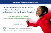 Chronic Diseases in South Africa and Other Developing countries … · 2011. 9. 27. · Inf / para excl HIV/AIDS Neuropsychiatric conditions Intentional injuries Unintentional injuries