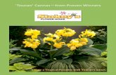 ‘Toucan’ annas—from Proven Winners · ontinuous loom, Easy are, Heat and Humidity Tolerant Offered in 1 Gallon Proven Winners Pots. FLOWER HOUSE . Stakey- s FLOWER HOUSE PROVEN