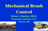 Mechanical Brush Control · Mechanical Brush Control • Physical removal of target woody plants to allow more desirable plants spp. to grow