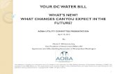 YOUR DC WATER BILL - AOBA Alliance UTILITY COMMITTEEE... · into a related consent decree in March 2005. Projected disbursements by fiscal year for the LTCP portion are shown in the