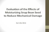 Evaluation of the Effects of Moisturizing Snap Bean Seed ... · Example Image of Mechanical Damage Evaluation Test Dropped Samples . Non-Dropped Samples . ... two 50-seed samples