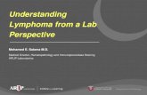 Understanding Lymphoma from a Lab Perspective Lymphom… · Understanding Lymphoma from a Lab Perspective Medical Director, Hematopathology and Immunoperoxidase Staining ... Similar