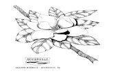 JACKSON SEVIERVILLE YOUR SMOKIES START HERE MAGNOLIA ... · PDF file

jackson sevierville your smokies start here magnolia - sevierville, created date: 3/30/2020 3:11:17 pm