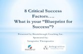 8 Critical Success Factors…. What is your “Blueprint for ...data.integrativepro.com/downloads/webinars/8-success-factors.pdf · want in; $, patients, dispensary. ... Business