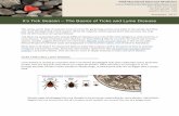 It’s Tick Season – The Basics of Ticks and Lyme Disease€¦ · • Use insect repellent that contains 20 percent or more DEET, pecaridin or IR3535 on exposed skin. You can also