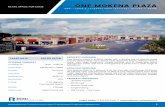 ONE MOKENA PLAZA · that includes several national retailers such as Ashley Furniture, Staples, and Home Depot. PROPERTY HIGHLIGHTS • Updated Façade • 36,700 vpd • Diverse