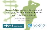 Career Development- Barriers and Strategies for Young ... · the early career years: Barriers and strategies for young adults with disabilities. Journal of Vocational Rehabilitation,