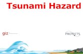 Tsunami Hazard - GITEWS · near-field tsunami that causes extensive destruction near the source and additional casualties and destruction on shores more than 1000 km from its source