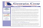 GCIA News Briefs Summer 2015 · 2017. 12. 27. · Georgia Department of Agriculture Establishes a Seed Laboratory Advisory Council GCIA News Briefs Summer 2015 Page 3 69th Annual