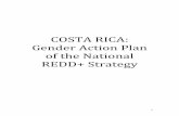 COSTA RICA: Gender Action Plan of the National REDD+ Strategyceniga.go.cr/wp-content/uploads/2020/02/Gender-Action... · 2020. 2. 6. · RIFA International Analog Forestry Network