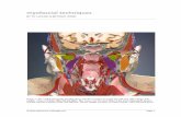 TMJ III mbw style 20101022...2010/10/22  · with these important structures is often the key to alleviating TMJ symptoms, and a part of shifting the usage patterns that contribute