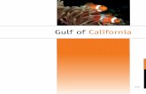Gulf of California - PICES · The Gulf of California is a 1,130 km long and 80 to 209 km wide semi-enclosed sea located between the mainland of Mexico and the Baja California peninsula.