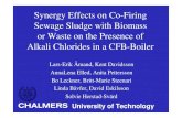 Synergy Effects on Co-Firing Sewage Sludge with Biomass or ... · Synergy Effects on Co-Firing Sewage Sludge with Biomass or Waste on the Presence of Alkali Chlorides in a CFB-Boiler