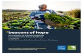Accelerating Transformations to Sustainable Food Systems · 2019. 8. 14. · Accelerating Transformations to Sustainable Food Systems 2 ACKNOWLEDGEMENTS The Global Alliance for the