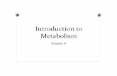 Introduction to Metabolismstecklescience.weebly.com/uploads/2/3/2/2/23227308/... · Introduction to Metabolism Chapter 6. Metabolic Pathways O Specific molecules are catalyzed each