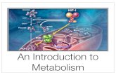 An Introduction to Metabolism - WordPress.com · An Introduction to Metabolism Catabolic reactions - complex substance broken down into something less complex Combustion of gasoline