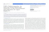 Lupus Podocytopathy: An Unusual Entity Requiring Inclusion ... · International Society of Nephrology/Renal Pathology Society (ISN/RPS) in 2003, does not recognize lupus podocytopathy