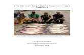 Lake Erie Grass Carp Adaptive Response Strategy 2019-2023 · Carp in the tributaries and nearshore areas of Lake Erie and Lake St. Clair. a) Maintain or improve federal, provincial,
