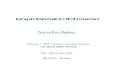 Portugal’s Ecosystems and TEEB Assessments · Steppe of Castro Verde (Southern Portugal). Environmental Resource and Economics (submitted). Portuguese active population (older than
