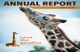 ANNUAL REPORT€¦ · 2017-2018 ANNUAL REPORT savethegiraffes.org 4 In 1999, the wild giraffe population was more than 140,000. Today, the number has dwindled to less than 98,000.