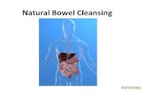 Natural Bowel Cleansing - The Nutrition Networkthenutritioncoachnetwork.com/downloads/ncn-talks-clinical-nicole... · 25/04/2013  · Colon Hydrotherapists. The Treatment • Colonic