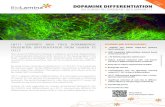 TION 013 DOPAMINE DIFFERENTIATION REVOLUTIONIZING CELL ... · Cell. 2016 Zhang et al. Niche-derived laminin-511 promotes midbrain dopaminergic neuron survival and differentiation