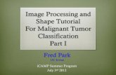 Image Processing and Shape Tutorial For Malignant Image Representation: Grayscale ! Grayscale Digital