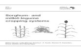 Version 04: Sorghum- and millet-legume cropping systemsafricasoilhealth.cabi.org/wpcms/wp-content/uploads/2015/... · 2016. 11. 23. · 2015 Revised Edition. ... rice systems, but