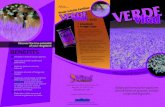 01-Triptico VerdeVital ingles copy - Vital Fertilizers VITAL BROCHURE eng 2014.pdf · Sidedress at a rate of 300 lbs/acre at least; either in two applications of 150 lbs/acre, or