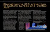 Strengthening IDD prevention in ... - Iodine Global Networkign.org/newsletter/idd_nov15_ceecis_workshop_1.pdf · new forms of collaboration in research, M&E, and advocacy and communication.