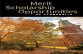Merit Scholarship Opportunities€¦ · by bridging gaps among economically, socially, and racially diverse groups. Chancellor’s Scholars also will have demonstrated significant