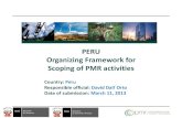 PERU Organizing Framework for Scoping of PMR activities · conventional renewable energy, energy efficiency in the industrial, commercial and residential sectors and rural electrification.