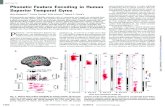 REPORTS Phonetic Feature Encoding in Human Superior ... · Phonetic Feature Encoding in Human Superior Temporal Gyrus Nima Mesgarani, 1* Connie Cheung, Keith Johnson,2 Edward F. Chang1†