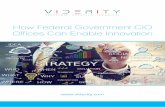 Viderity - How Federal Government CIO Offices Can Enable ... · • Challenge Four: Procurement rules inhibit quick wins • Challenge Five: Few metrics are kept Despite these challenges,