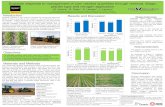 Environmental Science Department, University of …...Soybean response to management of corn residue quantities through removal, tillage, planter type and nitrogen application M. Vanhie1,