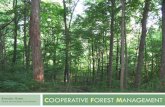Brenda Huter COOPERATIVE FOREST MANAGEMENT...CFM: DoF’s Private Side Our Mission: Indiana’s Private Forestland Program promotes the stewardship of Indiana’s privately owned forests