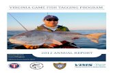 Virginia Game Fish Tagging Program Annual Report 2012 · a number of other marine recreational species like black drum, cobia, speck-led trout, and tautog. As a result, they decided