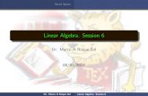 Linear Algebra. Session 6 - math.tamu.eduroquesol/Math_304_Spring_2018_Sessi… · Session 6. Vector Spaces Linear Dependence and Independence Basis and Dimension Row space of a matrix
