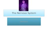 The Nervous System - Polk County School District...The Nervous System •The master controlling and communicating system of the body. •3 Overlapping Functions a. Sensory input—monitoring