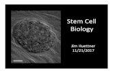 Stem Cell Biology 2017 - Washington University in St. Louis · developmental potential of iPSCs is greatly influenced by reprogramming factor selection. Cell Stem Cell. 15:295-309..