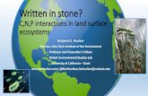 Written in stone? - CliMA · Written in stone? C,N,P interactions in land surface ecosystems Benjamin Z. Houlton. Director, John Muir Institute of the Environment. Professor and Chancellor’s