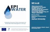 WP 4.4 · Alcalá de Henares (Madrid, Spain) 06 January 2013 Massimo Pizzol ... • harmonizing methods/standardizing concepts for water accounts • provide conceptual framework