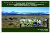 Developing and sustaining collaborative resilience in the ...€¦ · Developing and sustaining collaborative resilience in the face of change: A review of the Collaborative Forest