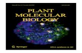 Plant Molecular Biology - Florida State Universitybass/pdfs/Bass--Thompson_PMB2015++.pdf · Artiﬁ cial miRNA-mediated down-regulation of two monolignoid biosynthetic genes (C3H