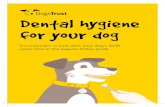 Dogs Rehoming & Dog Rescue Charity | Dogs Trust · 2018. 3. 20. · Dental hygiene your dog ... It is a good idea to get your dog used to having their teeth brushed when ... signs,
