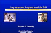 Lung symptoms, Pregnancy and the ICU · Overview Pregnant patients differ from non-pregnant patients with regard to: Physiology Conditions requiring ICU care Symptoms Septic shock