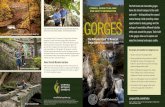 natural beauty, while providing unique GORGES€¦ · website and video, and this brochure. About Cornell Botanic Gardens Fall Creek and Cascadilla gorges and their trails are part