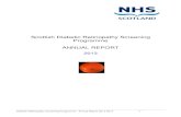 Scottish Diabetic Retinopathy Screening Programme ANNUAL … · 2019. 4. 11. · Diabetic Retinopathy Screening Programme - Annual Report 2013-2014 - 6 - 4(c) 2 all services must